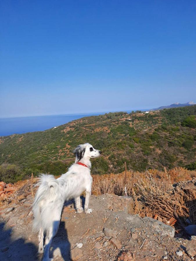 Hill'S Barbacane Potamos  Экстерьер фото